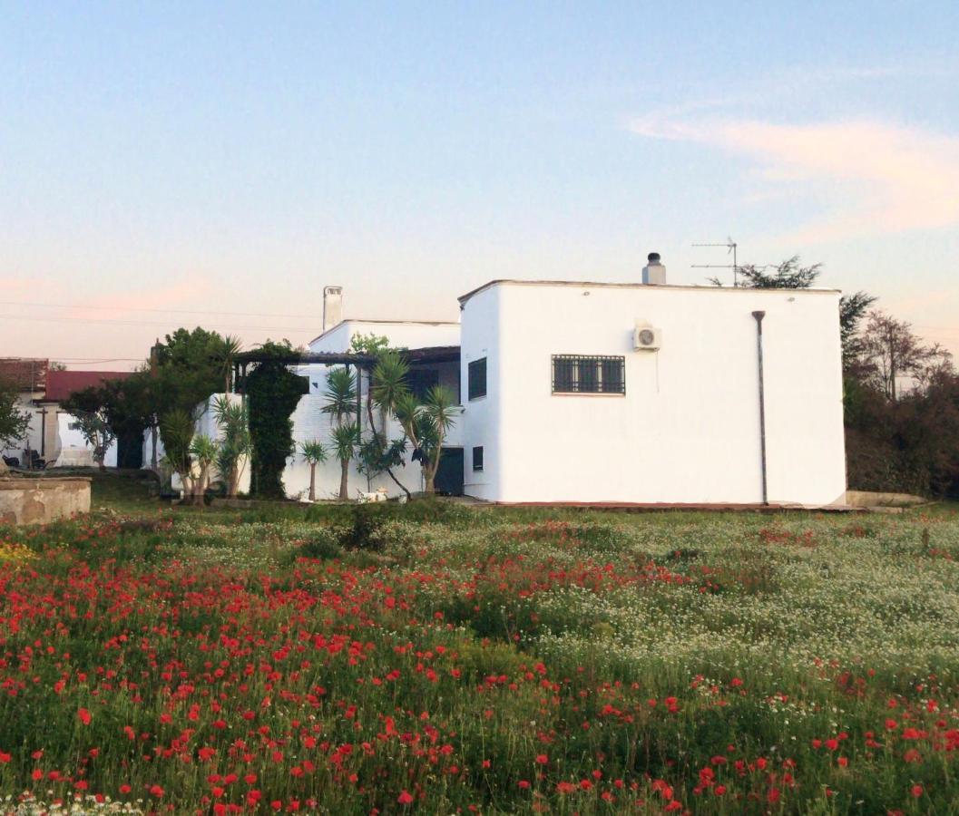Villa Sara Di Puglia Castellaneta Exterior foto