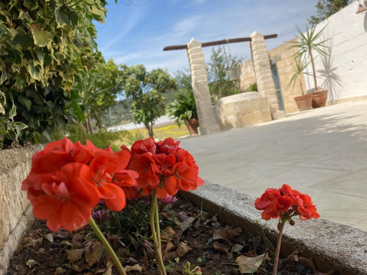 Villa Sara Di Puglia Castellaneta Exterior foto